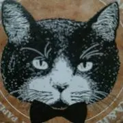 猫田の画像