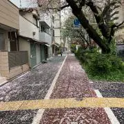 はたなかの画像