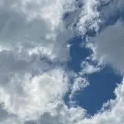 YU