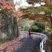 ワッキーの画像