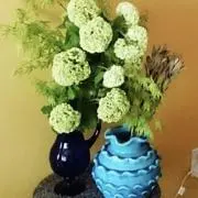 ほほえみの画像