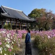 あわ。◯まとめ売り、値下げ交渉可◯の画像