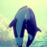 ゆうきの画像