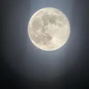 月男
