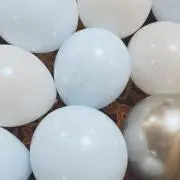 CCCの画像