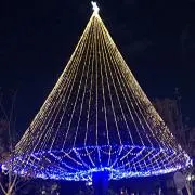 マンダリンオレンジ