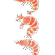 エビ　【安心取引】　【迅速対応】の画像