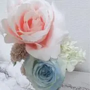 みきの画像