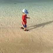 あぐりの画像