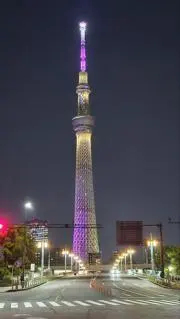 Tomiyaの画像