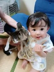 上野朋子の画像