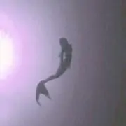 みみみ