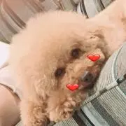 makiの画像