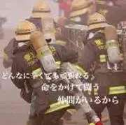 tsertの画像