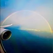 れれの画像