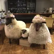 nanaの画像