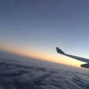サンキューサンキューの画像