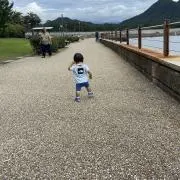 キノピオの画像