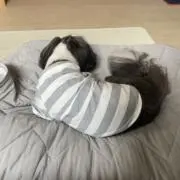 みかにゃん