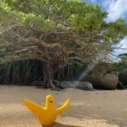 mojamiの画像