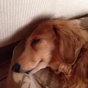 いっと