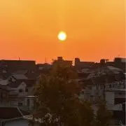 はるの画像