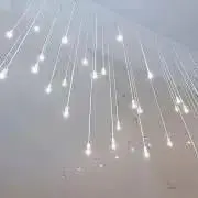 bloomkkの画像