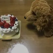 イチゴの画像