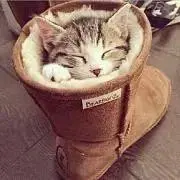 ビビ
