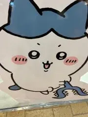 ぴかの画像