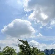 そんそん