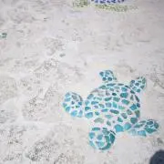 なーの画像