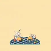 wa°の画像