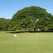 hanaの画像