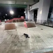 心