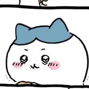 たまむーの画像