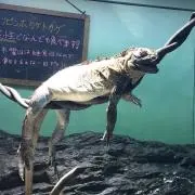 ノン☆の画像