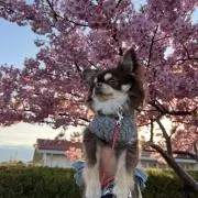 プロフ必読　アンジェ　おまとめ購入歓迎の画像