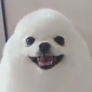 mの画像