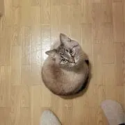 くり❤️