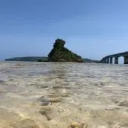 みつきの画像