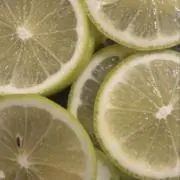 ぴーたろの画像
