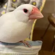 ムーちゃんの画像