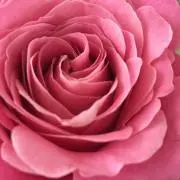 くるみ　プロフィール見てくださいね☆の画像