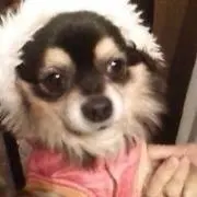 Image of たけまう