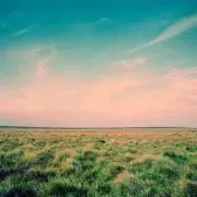 sachの画像