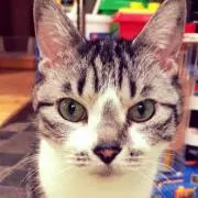 たまゆら