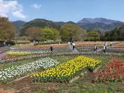 SUMMERの画像