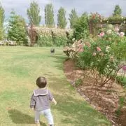 ゆの画像
