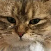 ＊ミウ＊